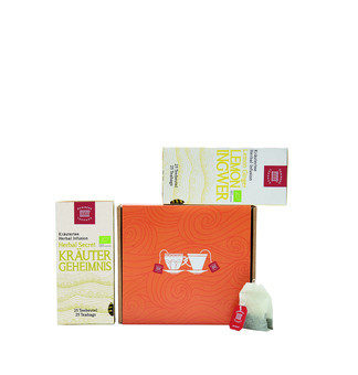 Quick-T Duo Herbal Infusion