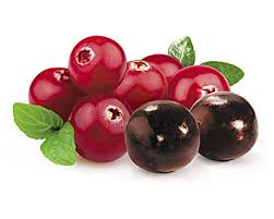 Doti Áfonya csokoládéban 50g - Image 2