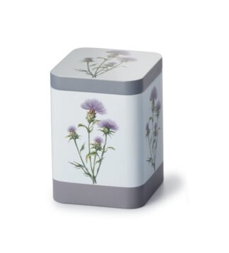 Cardo doboz 100g